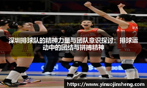 OB视讯官方网站